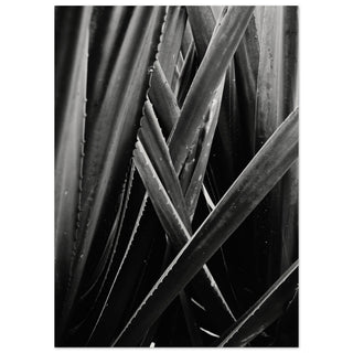 Grünzeug No.3 - orangelens