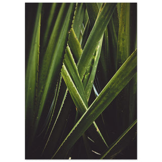 Grünzeug No.3 - orangelens