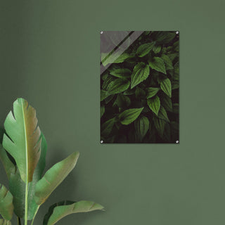 Grünzeug No.4 - orangelens