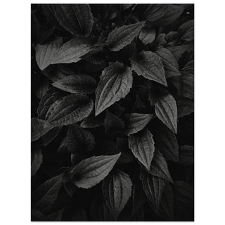 Grünzeug No.4 - orangelens