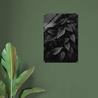 Grünzeug No.4 - orangelens