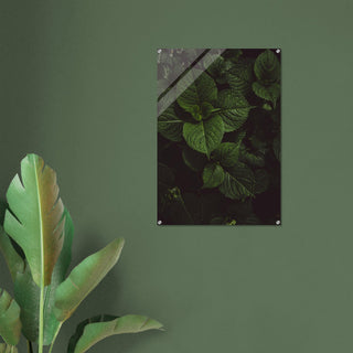 Grünzeug No.5 - orangelens