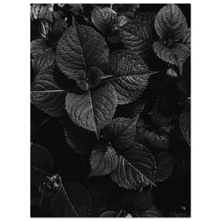 Grünzeug No.5 - orangelens