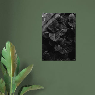 Grünzeug No.5 - orangelens