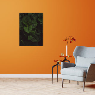 Grünzeug No.5 - orangelens