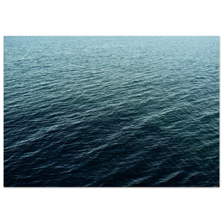 Ruhiges Meer zwischen Amsterdam und Newcastle No.1 - orangelens