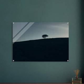 zwei Bäume im Blauen - orangelens