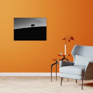 zwei Bäume im Blauen - orangelens