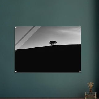 zwei Bäume im Blauen - orangelens