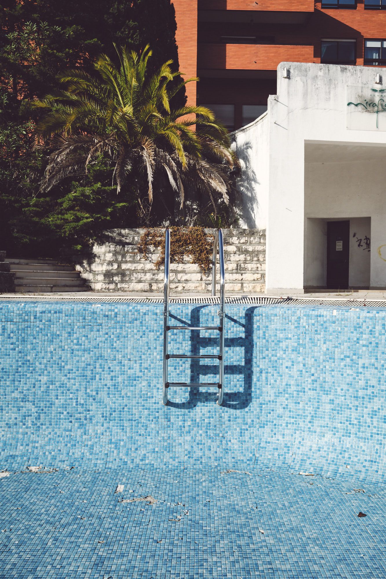 Porträt an einem Pool mit Palmen