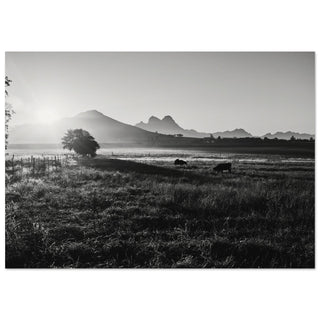 Sonnenaufgang in Südafrika No.3 - orangelens
