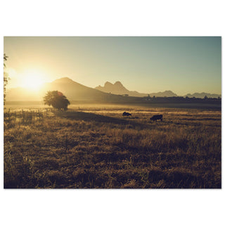 Sonnenaufgang in Südafrika No.3 - orangelens