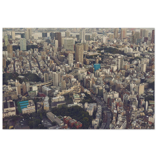 Tokyo oder Tokio von oben No.1 - orangelens