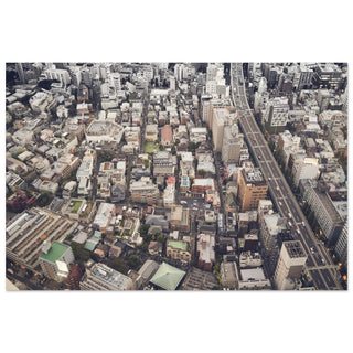 Tokyo oder Tokio von oben No.3 - orangelens